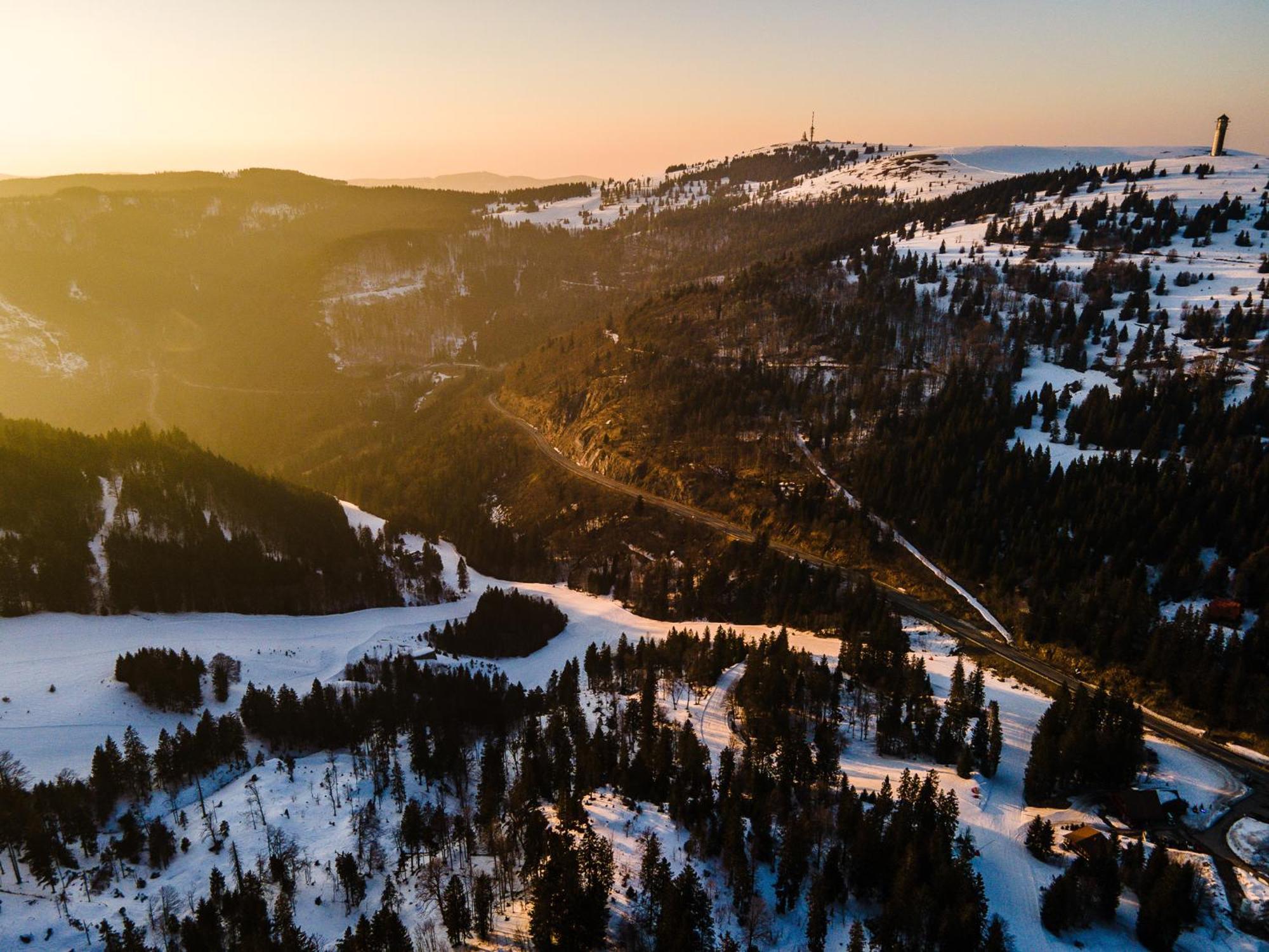 Auerhahn Feldberg *
