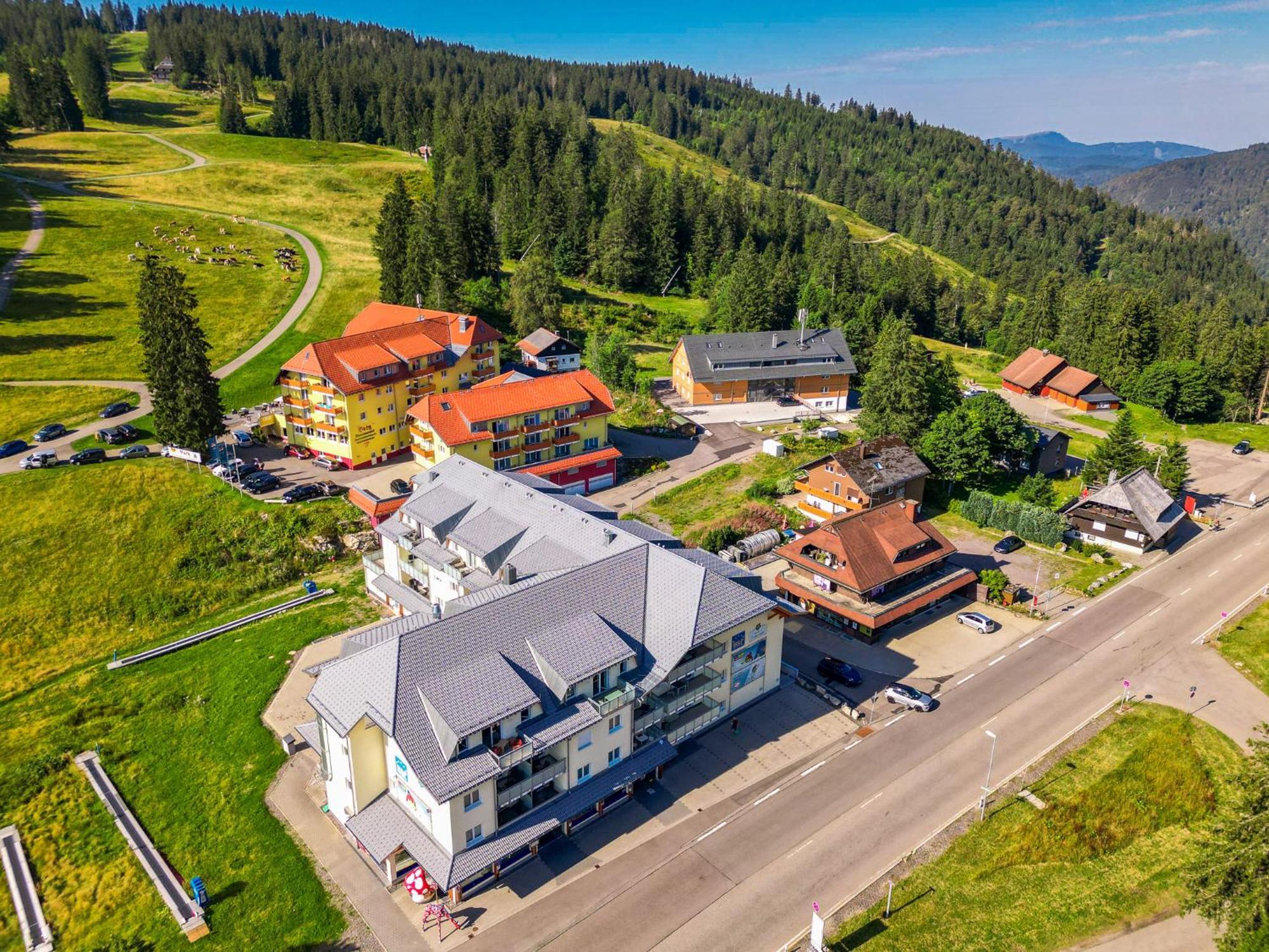 Auerhahn Feldberg Apartment *