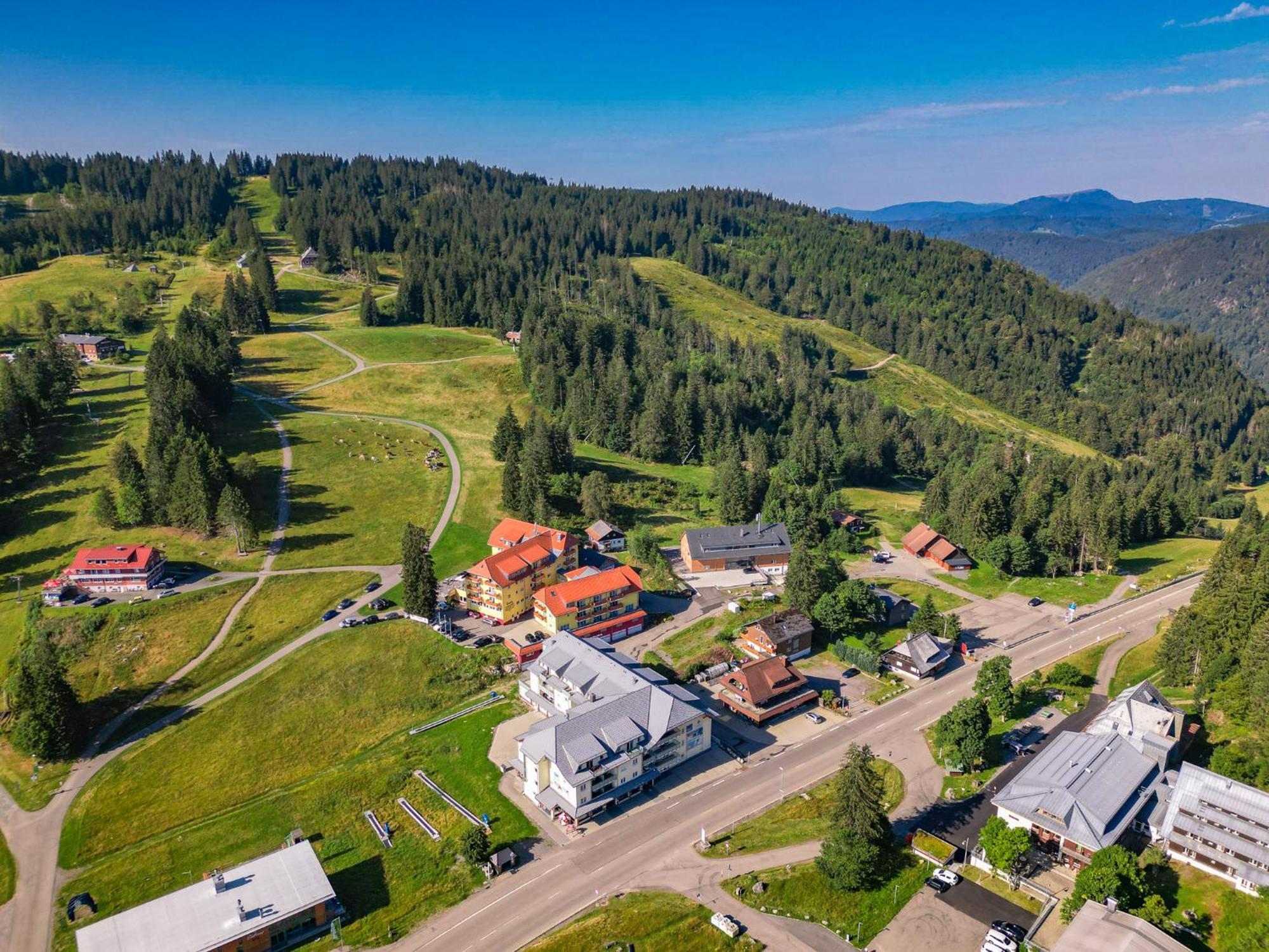 Auerhahn Feldberg * Feldberg (Baden-Wurttemberg)