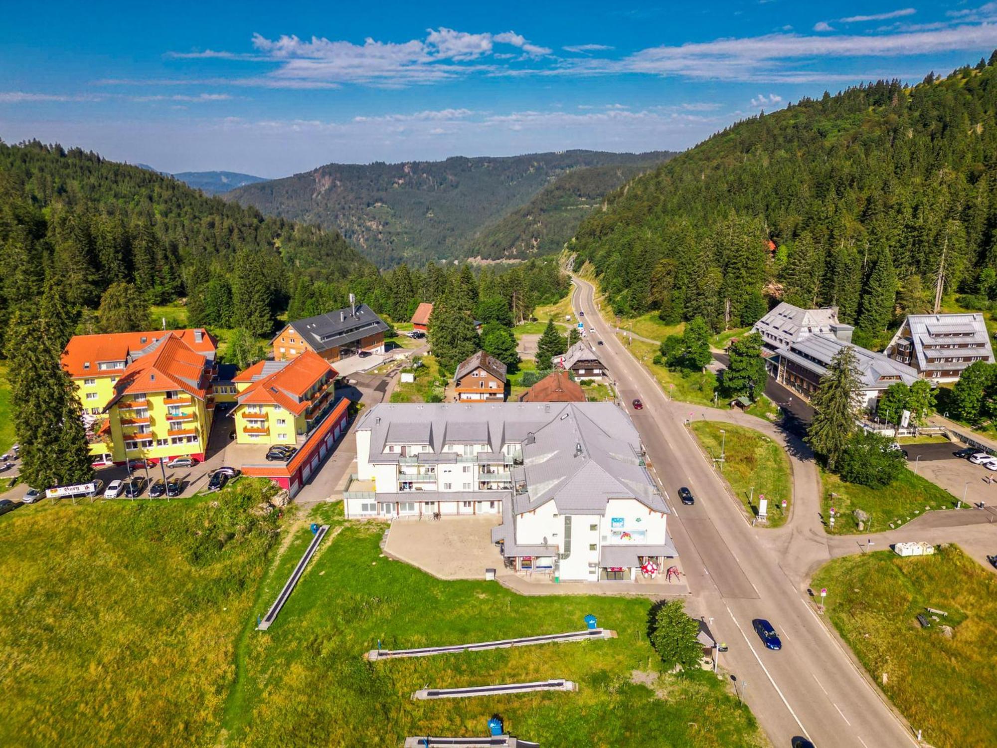 Auerhahn Feldberg *