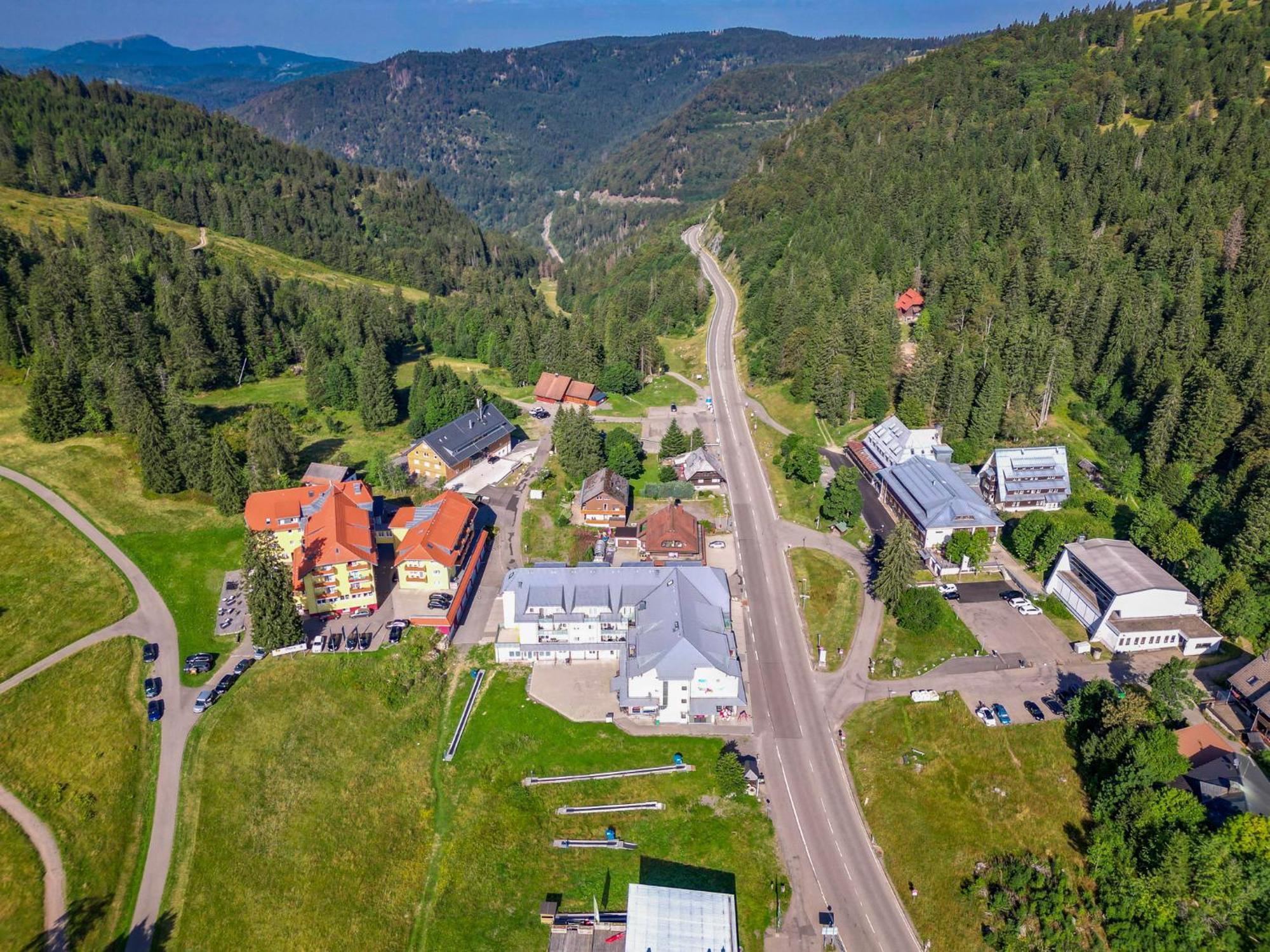 Auerhahn Feldberg * Feldberg (Baden-Wurttemberg)